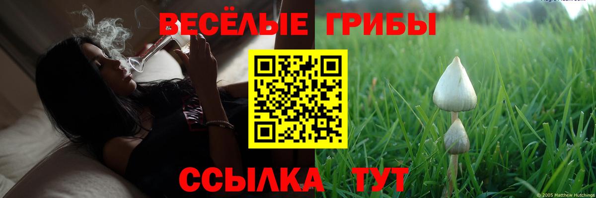 Галлюциногенные грибы Psilocybine cubensis  Вход с VPN  Магадан 